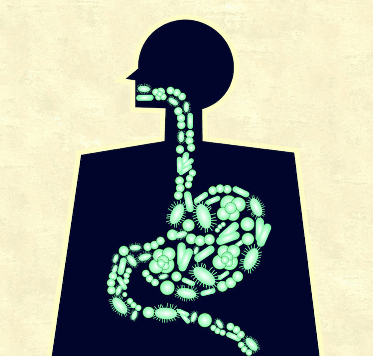 OPTIMIZING YOUR MICROBIOME