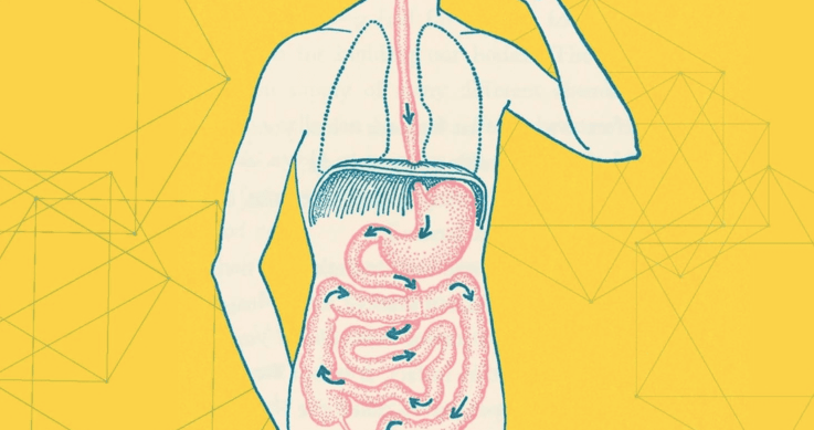 Signs Your Gut Is Unhealthy and Why You Should Fix It