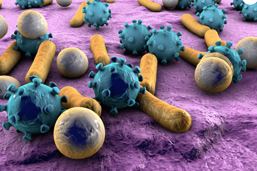 As researchers pursue links between bacteria and human health, startups stand to benefit