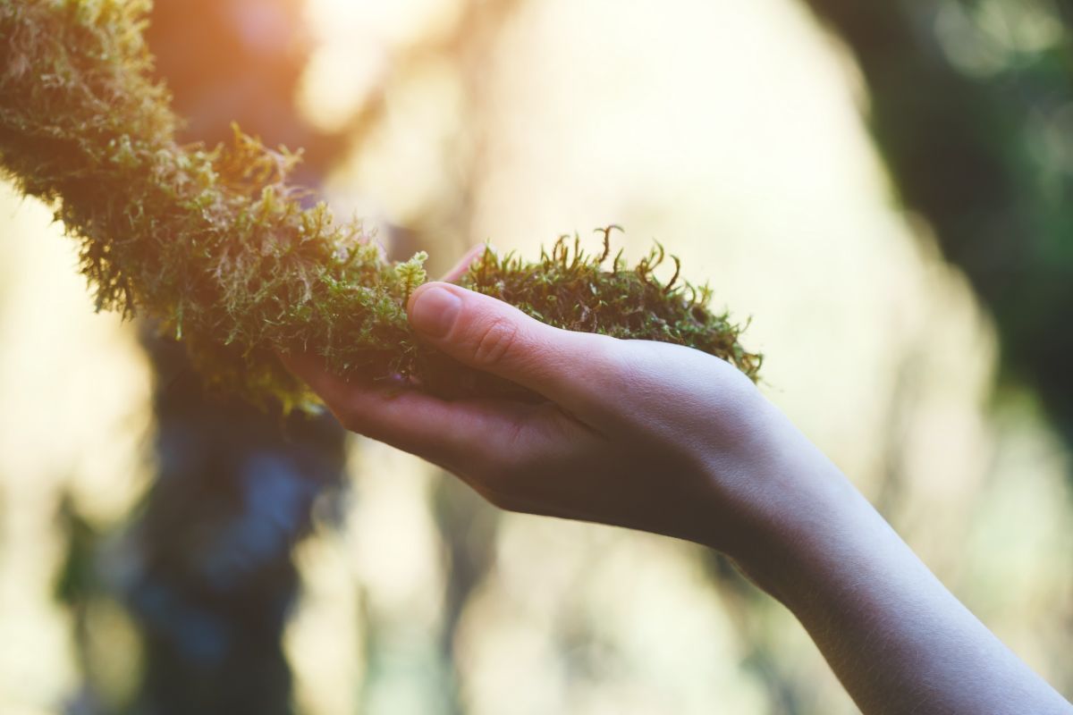 everything is connected microbiomes earth