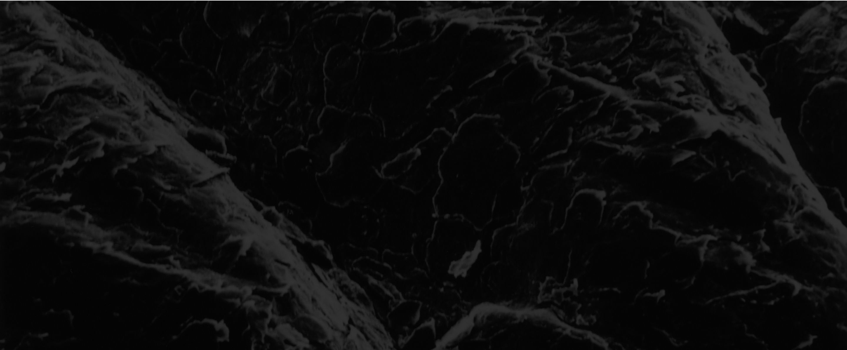 Our science and technology background