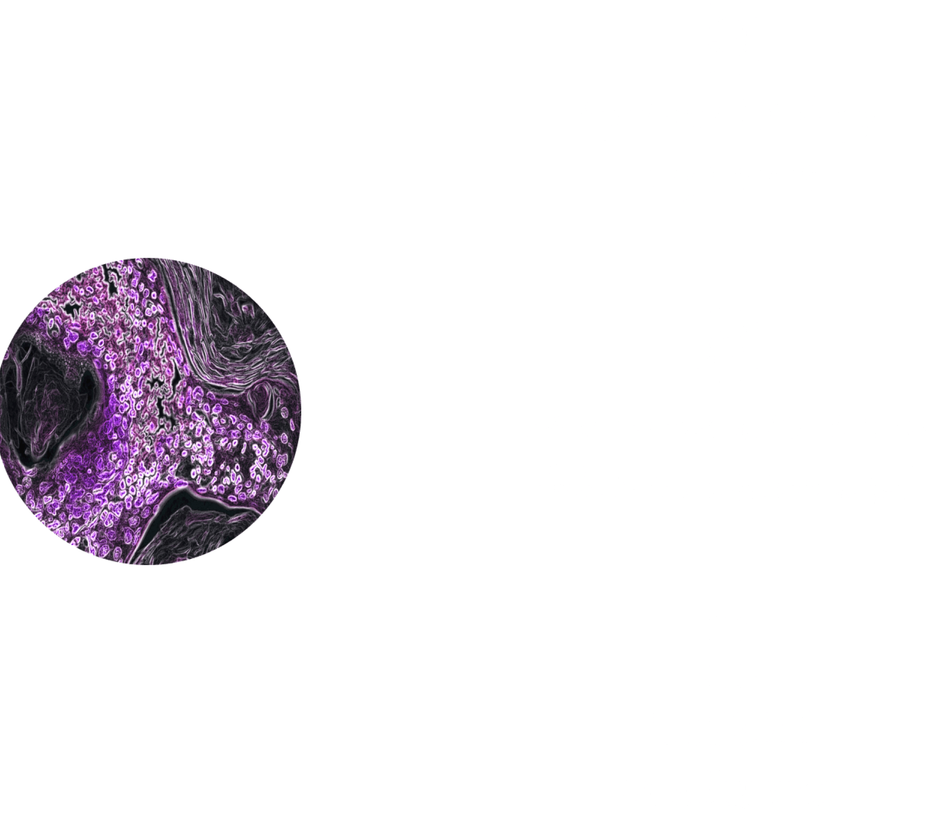 Science and technology illustration