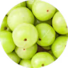 Amla Fruit Extract