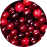 Cranberry Extract