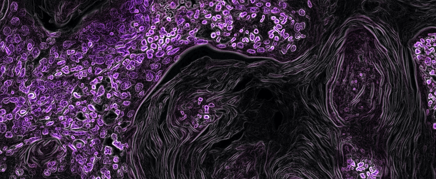 Approach image that adapts to screen size