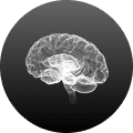 Brain & Cognitive Health icon