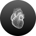 Heart & Cardiometabolic Health icon