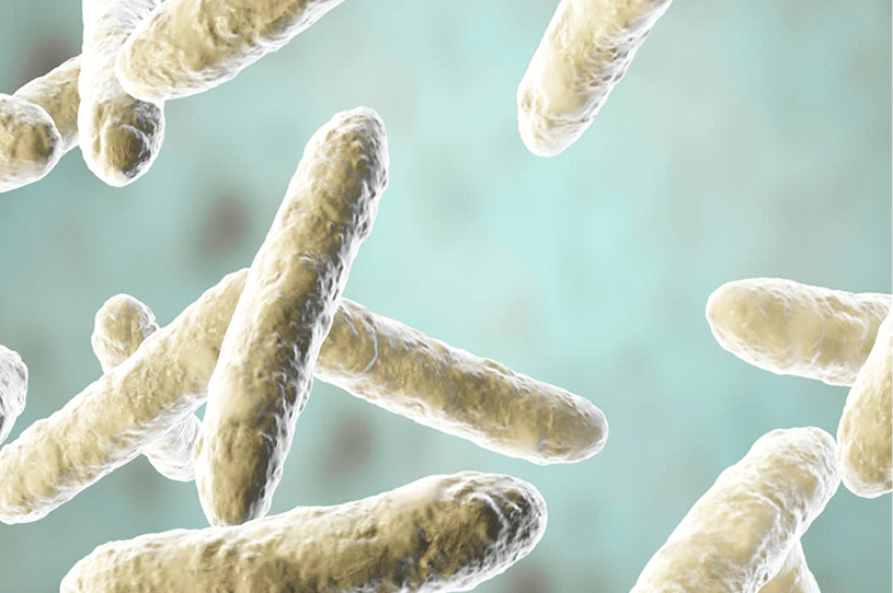Microbiome bacteria illustration
