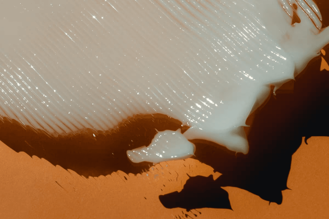 Evvy blog cover - Vaginal Estrogen