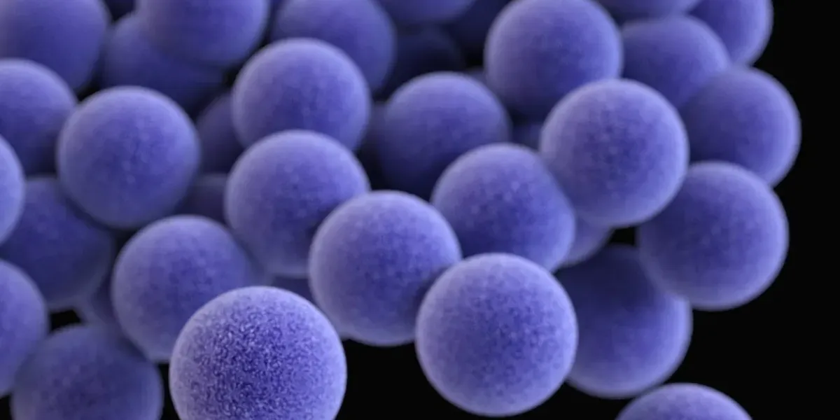 Microbial communities illustration