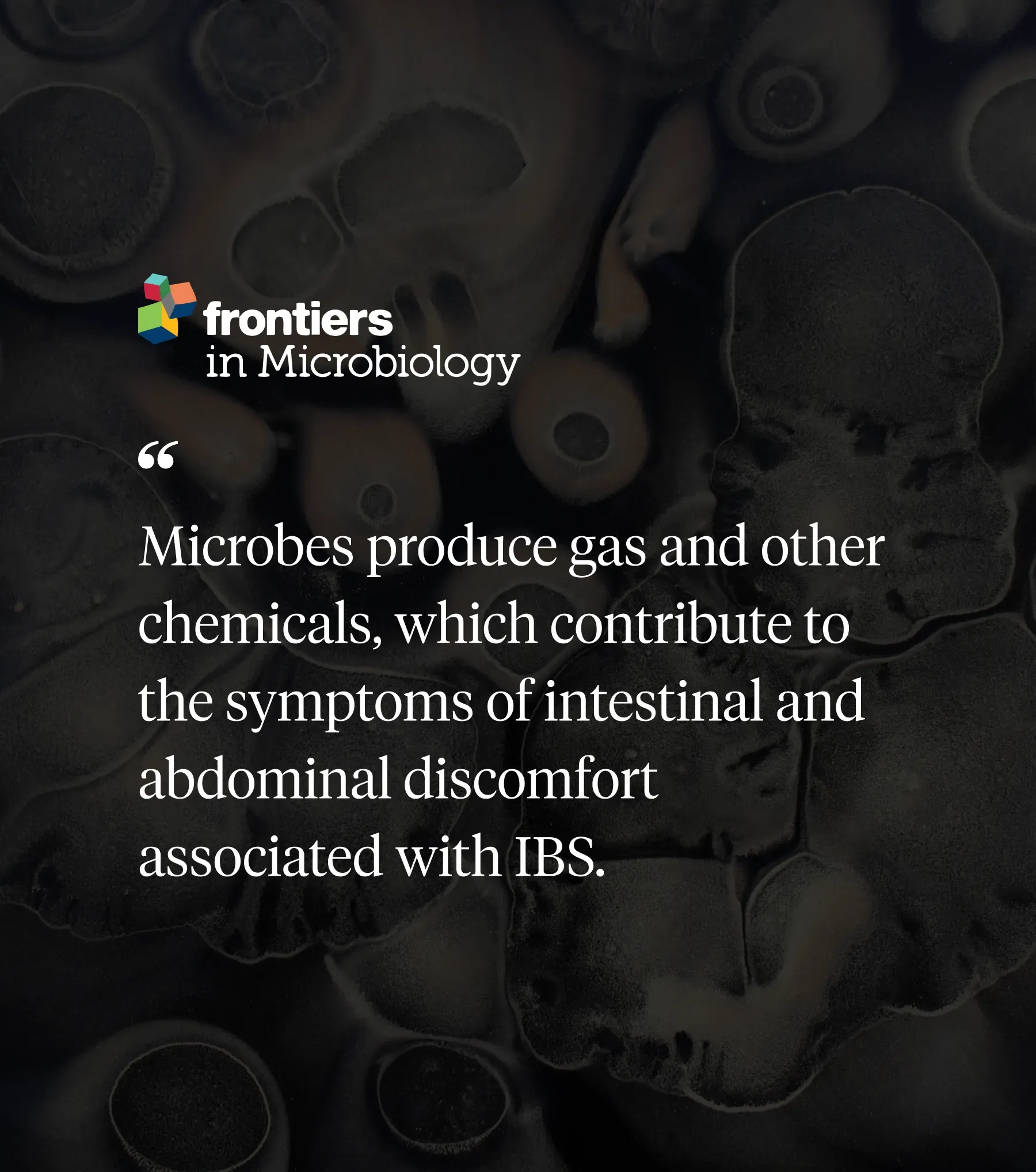 Gut dysbiosis research visualization 2