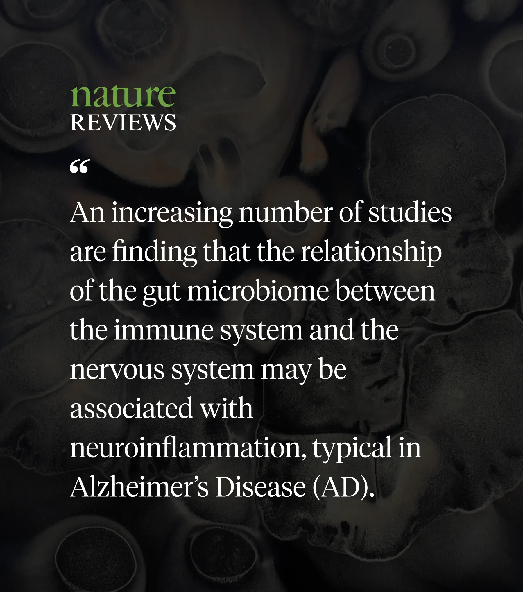 Gut dysbiosis research visualization 4
