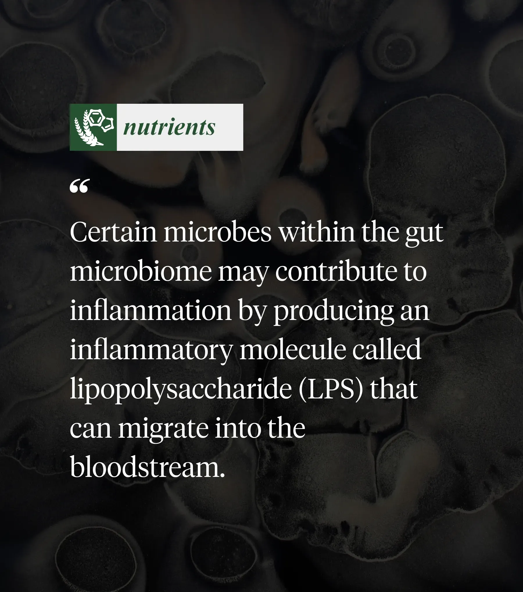 Gut dysbiosis research visualization 3