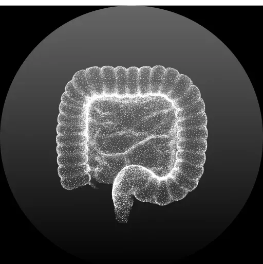 Gut & Digestive Health