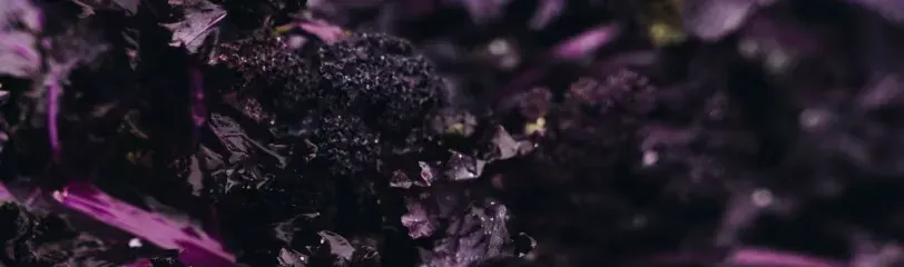 Dark cruciferous vegetables like kale or cabbage