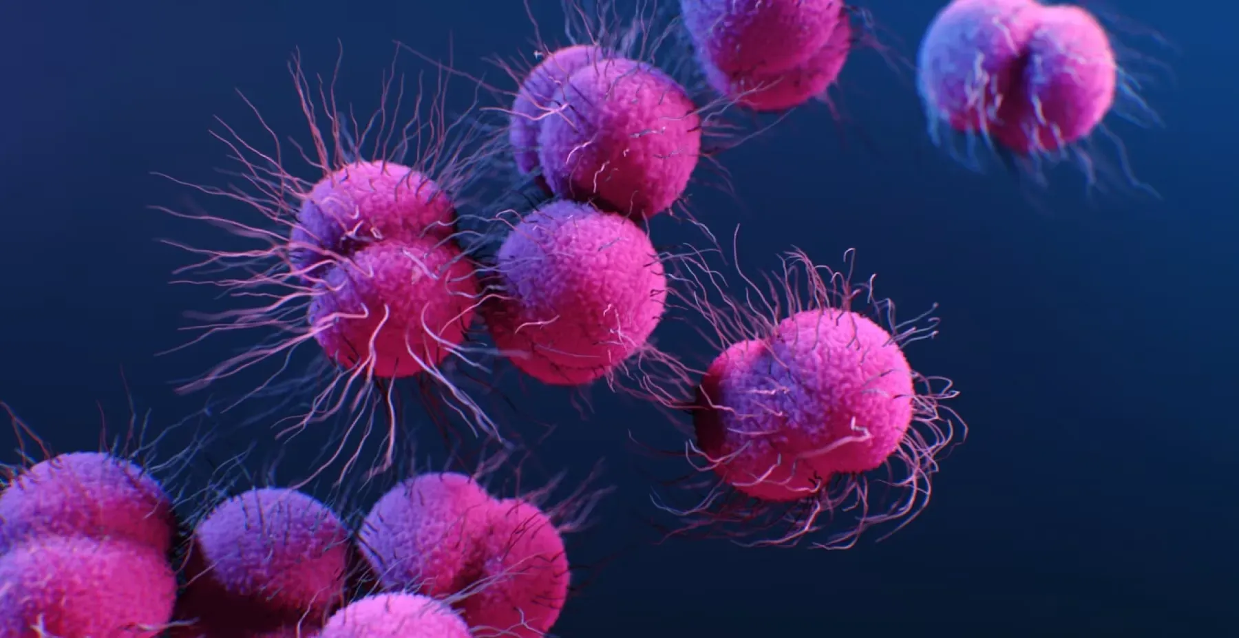 People smiling representing serotonin production