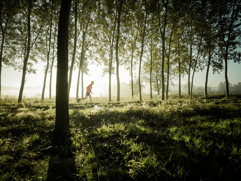 Springing Into Action: Movement to Boost Your Gut Health