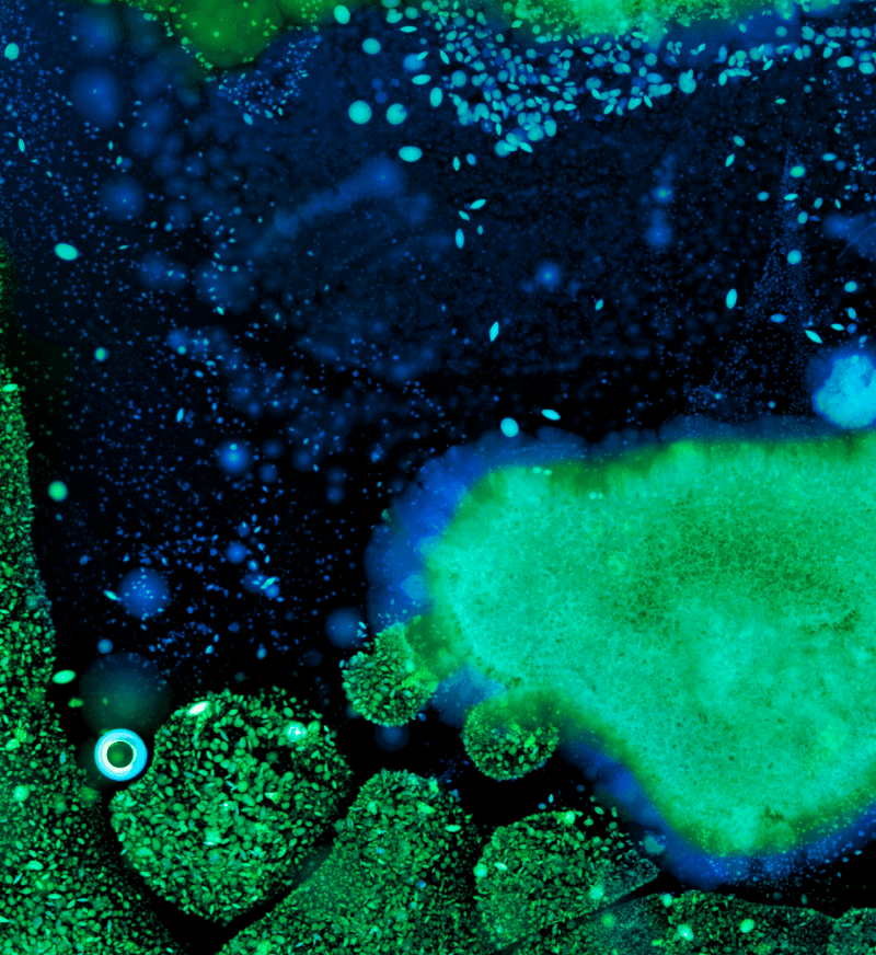 Viome Life Sciences