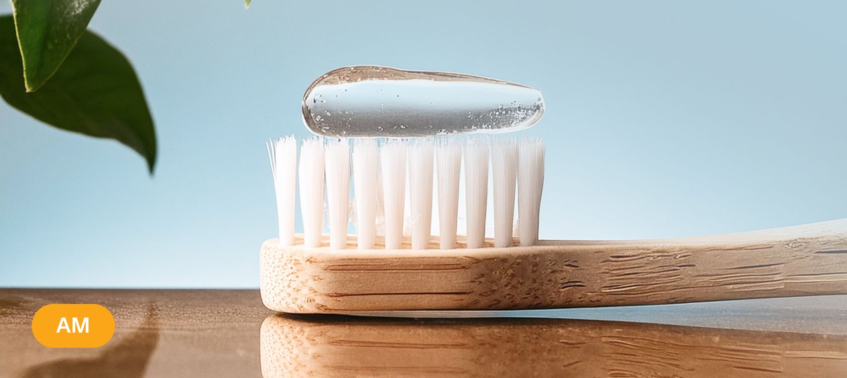Bamboo toothbrush with toothgel