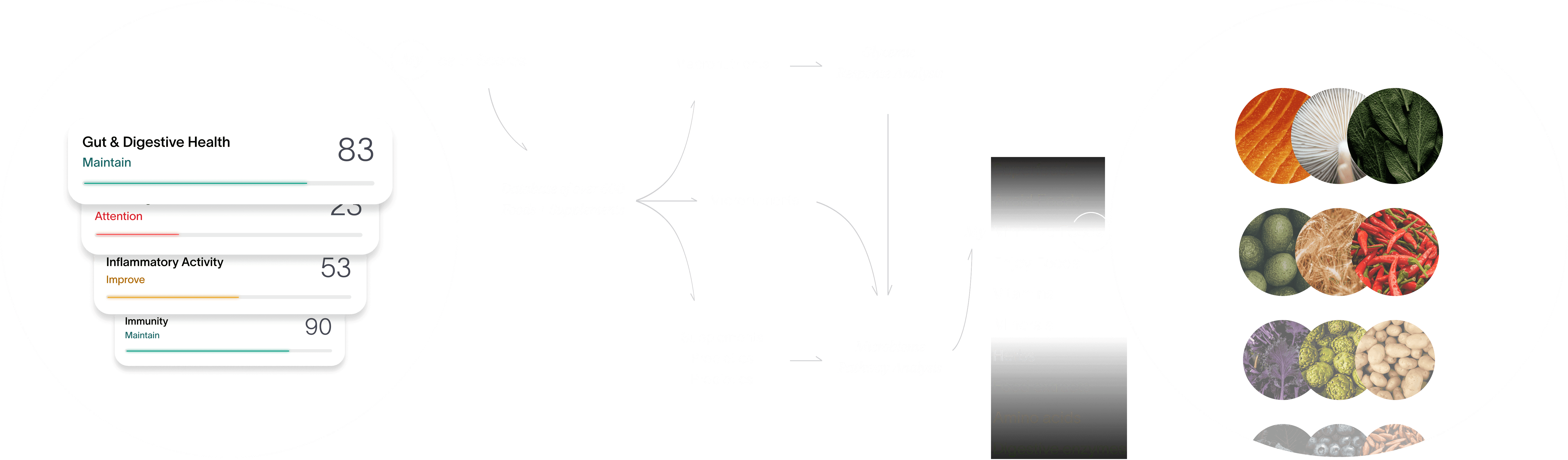 Translating Scores into Recommendations