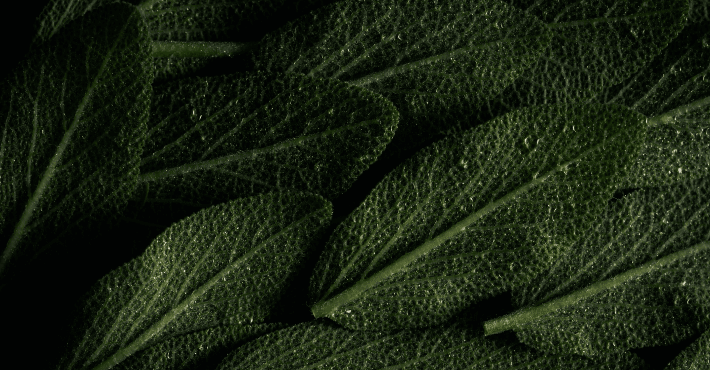 Why test your gut microbiome with Viome background